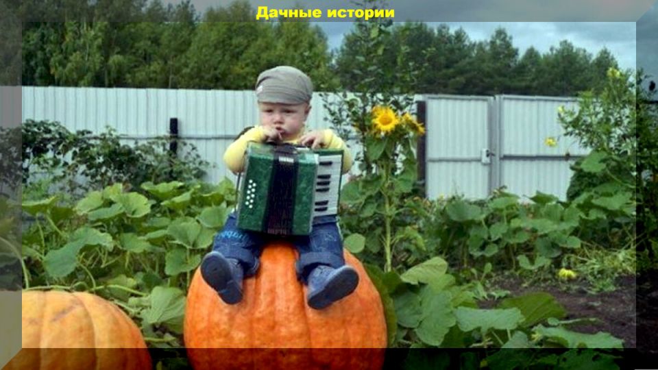 ���������� ������ ������ ��� ��������� ����������� ��������