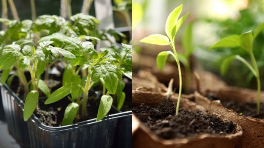 ��� ��������� ������� ������� �������: ������� ������