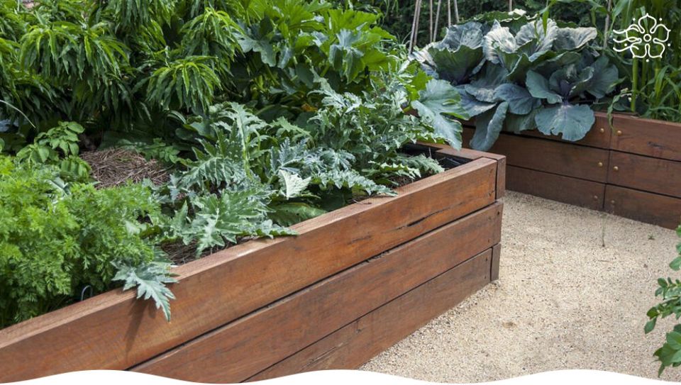 ���������������� ������ ��� �������� ������� � ������ ������