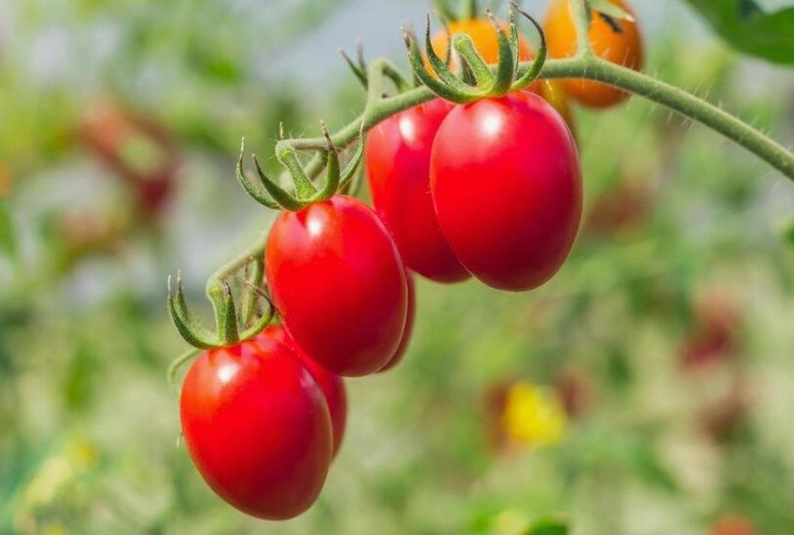 ��� ��������� ������������ ����������� ��� ������� �������