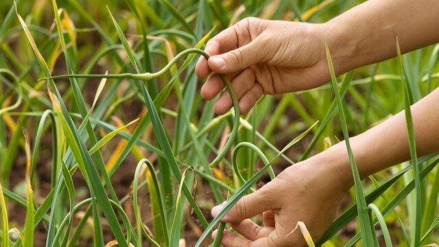 �������� ������� ����� �� ��������: ��� �������� �������� ������