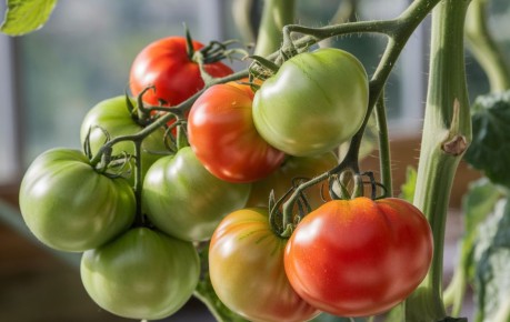 ��� ������� ������ �� ������ ������� �������� �������� � �������