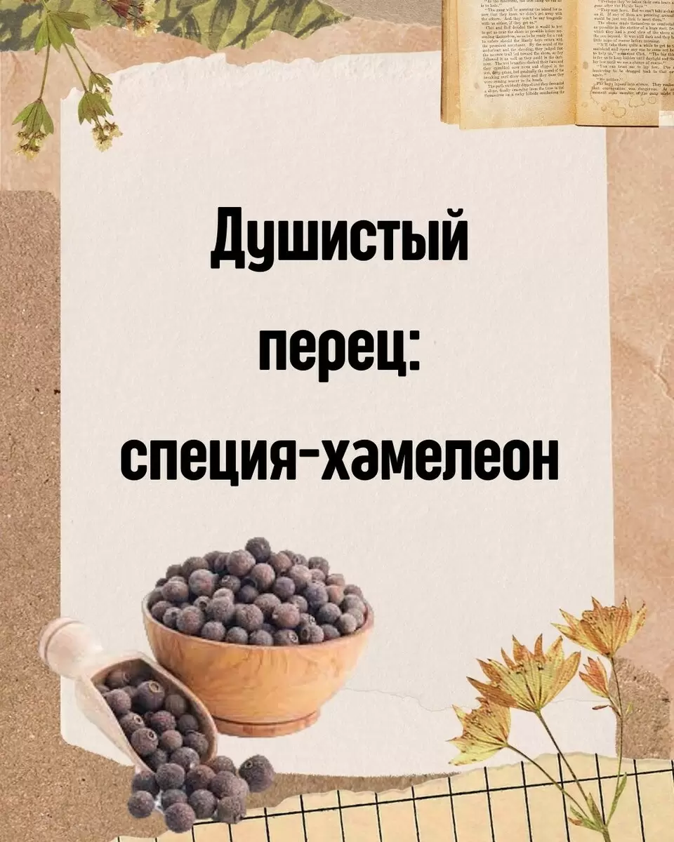 Душистый перец: волшебная специя, способная преобразить любое блюдо