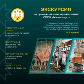 Хотите узнать, как рождается «Сладкое золото Чувашии», и окунуться в атмосферу настоящего производства?