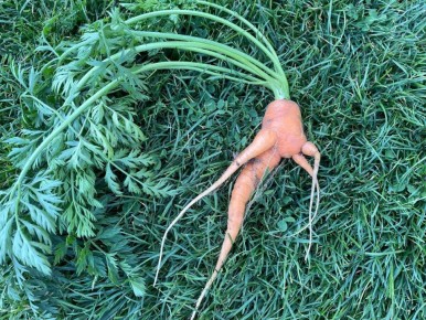 ��� �������� ���������� ������ �������: ������� �� ���� � ��������