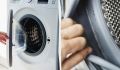 Плесень в стиральной машине: как легко с ней бороться и предотвратить её появление