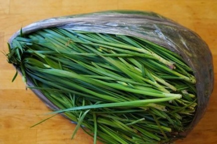 ��������������� ���� � ������ ��������� ���� ������: ������� �����������