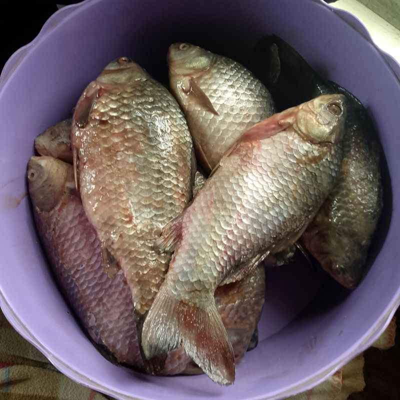 ���������� ��������: �������� ��������� �� �����������