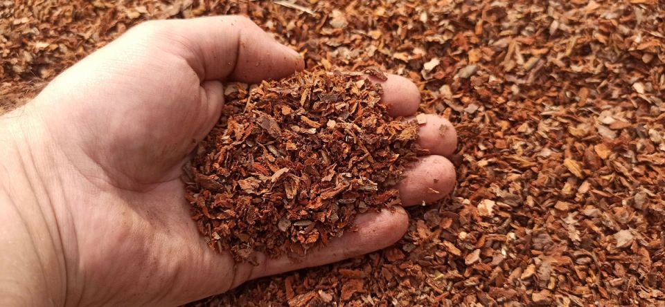 ����� ������ ���������� ������ ����������