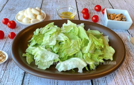 ������ ����� � ��������� �������: ������ ����� ��� ������ �����