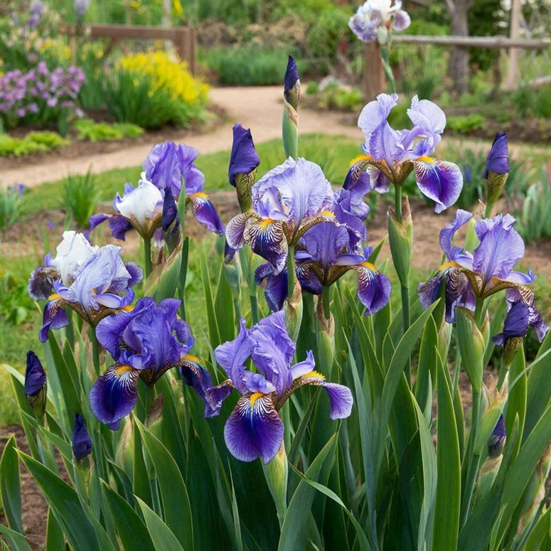 ��������� ��������� ����: ������� ��������� ��������