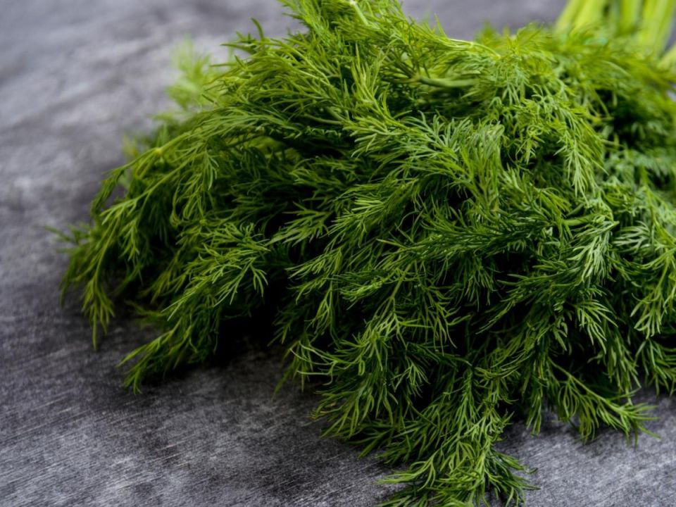 ��� ��������� ����� �� �����������: ������� ������� ��� ��������� �������