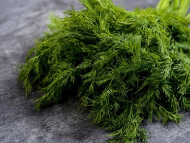 ��� ��������� ����� �� �����������: ������� ������� ��� ��������� �������