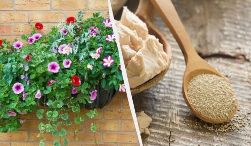 ����������� ��������� ��� �������: ������� ������ �� �����