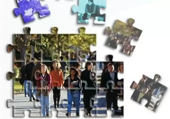 Социология: наука о жизни общества и ее ключевая роль в современном мире