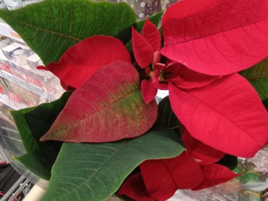 ����������: ������� ����� �� ������ ���������