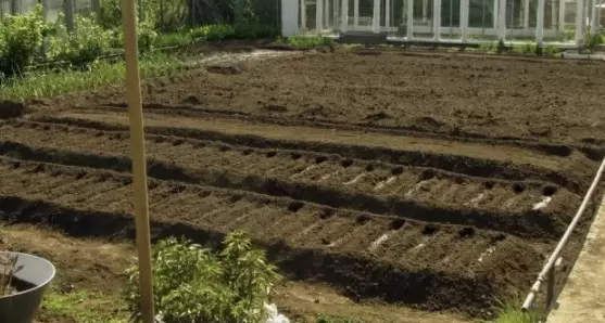 Как улучшить почву естественным способом за один сезон