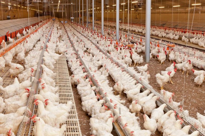 ������ ����� ���������� ������ ����� ��������� ������ ��������