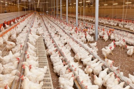 ������ ����� ���������� ������ ����� ��������� ������ ��������