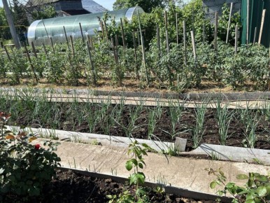 ��� ������� ������� � ������: ����������� � ���������� ������