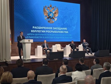 ������������������ ����� � ������ ��������� 120 ���������