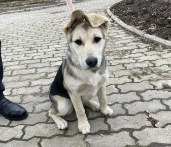 � ���������� ���������� ������� ��������� ���������� ������������ ������