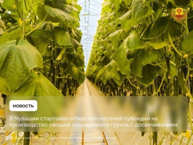 � 14 �� 20 ������ � ������� ������ ����� ������ �� ��������� ���������� ��������� � ����� ��������� ���������