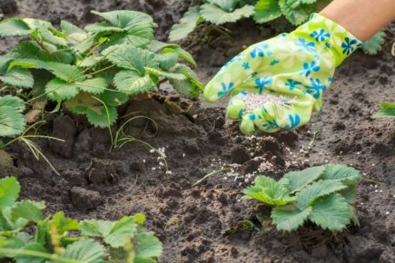 ��� ��������� ���������� �������� � ������� ��� �������� ������