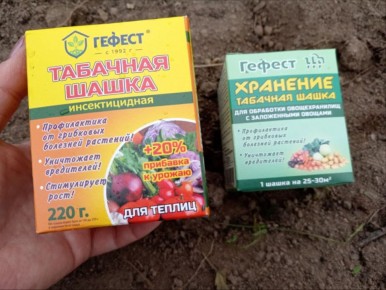 Эффективная защита теплицы от вредителей: забытые секреты