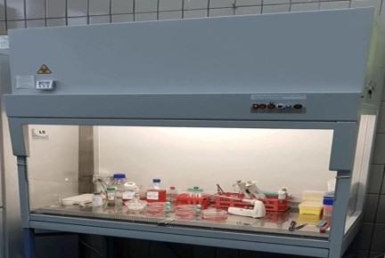 � ������� ������� � ������ ����������� ���������� ����������� �������� ����� ��� ��������