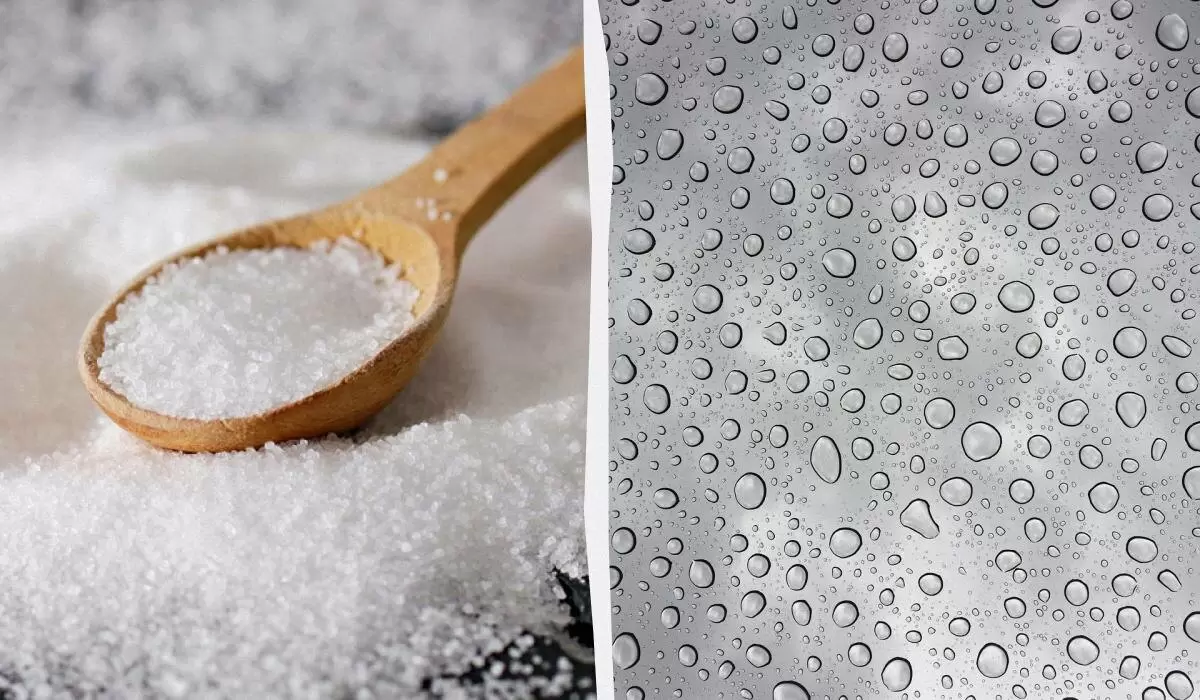 Как избавиться от сырости в доме: простой лайфхак для влажного сезона