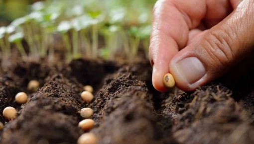 ������� �� ���������� ����: ��� �������� ������ �� 60 ����, ��� ����� � �����