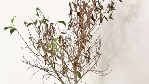 �������� ��� �������: ��� ������� ������������� ������� ������