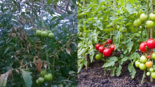 ������� �������� ������: ��� �������� ����� ��� ������ ������