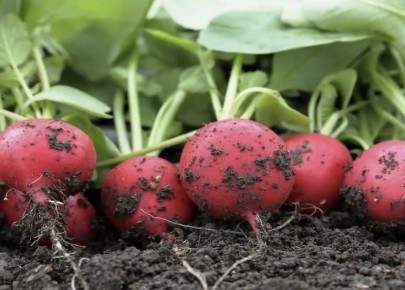 �������� �������: ��� �������� ��� ������� ������