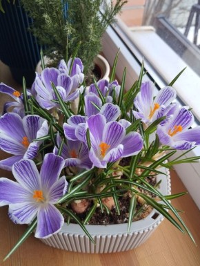 ����� ����� �����: ��� �������� ������ �������� � ����������