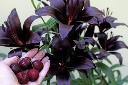 ����� �������: ��� ������� ��������� ��������� � ����