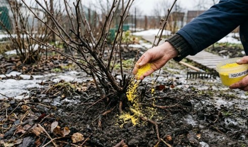 ������� ��������� ����� �� ����������: ��� �������� ������� � ������� �����