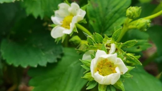 ��� �������� �������� ��������: ������� �������� ��������� ��������