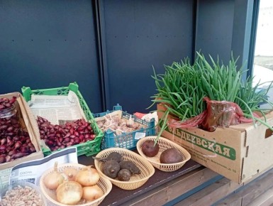 ������� ��������� ��� ������ � 2026�: ����� ���������!