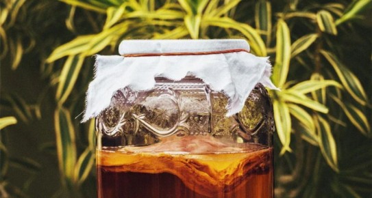 ������ ����: ������� ������� � ����������� � �������