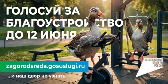 ����� 55 ����� ������� ������� �������������� �� �������������� ����������� �� ������� ���������������