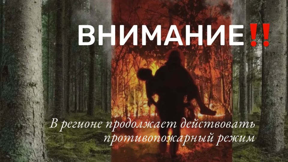 С 19 по 25 мая в лесах и на прилегающих территориях сохраняется высокая пожарная опасность