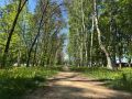 В городе продолжается акарицидная обработка