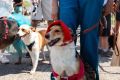 � ���������� �� ��������� ���� ������ ������ �����