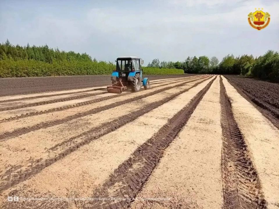 Лесничества Чувашии приступили к посеву посадочного материала Лесничества Чувашии приступили к посеву посадочного материала