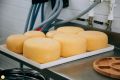 Конкурс «Лучший по профессии»: докажи, что ты — лучший технолог пищевой промышленности!