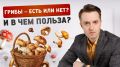 Грибы: польза, риски и новейшие открытия для здоровья