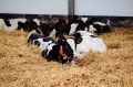 Аграрии Чувашии за полгода получили более 1,5 млрд рублей субсидий и грантов