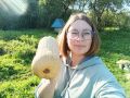 Секреты хранения тыквы на зиму